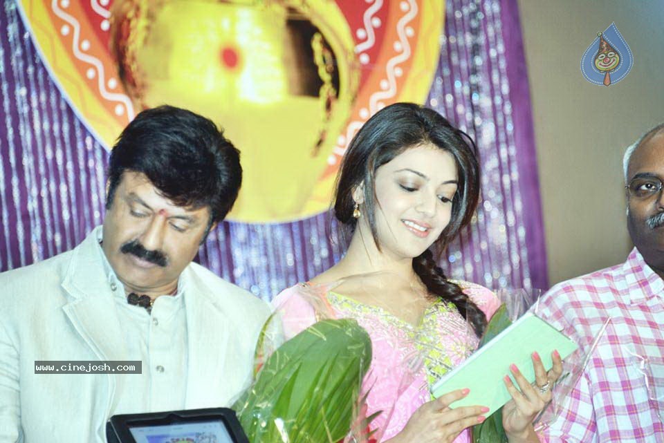 Celebs at NATS 2013 Telugu Sambaralu- Day 1 - 57 / 140 photos