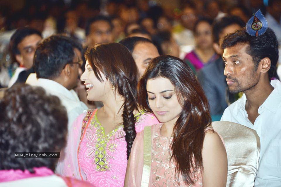 Celebs at NATS 2013 Telugu Sambaralu- Day 1 - 59 / 140 photos