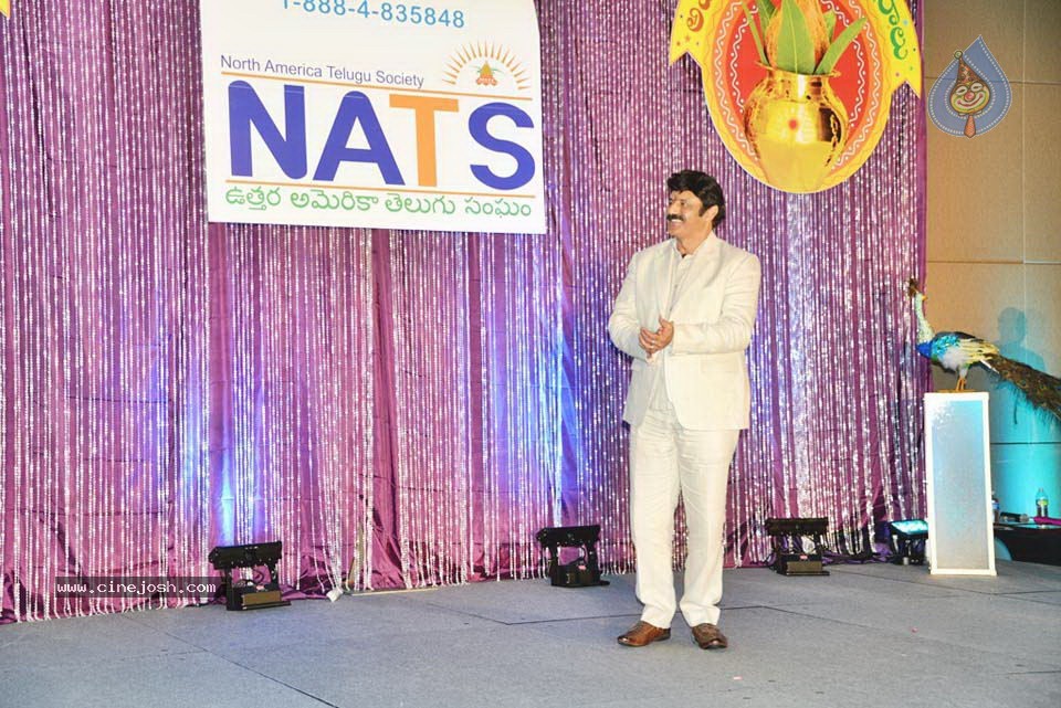 Celebs at NATS 2013 Telugu Sambaralu- Day 1 - 63 / 140 photos