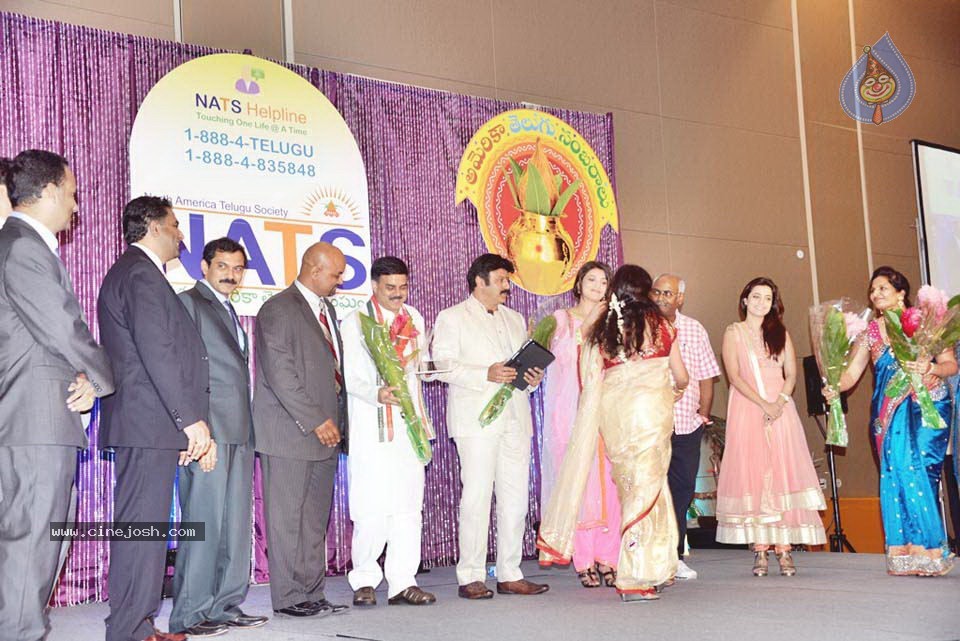 Celebs at NATS 2013 Telugu Sambaralu- Day 1 - 71 / 140 photos