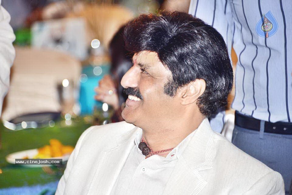 Celebs at NATS 2013 Telugu Sambaralu- Day 1 - 82 / 140 photos