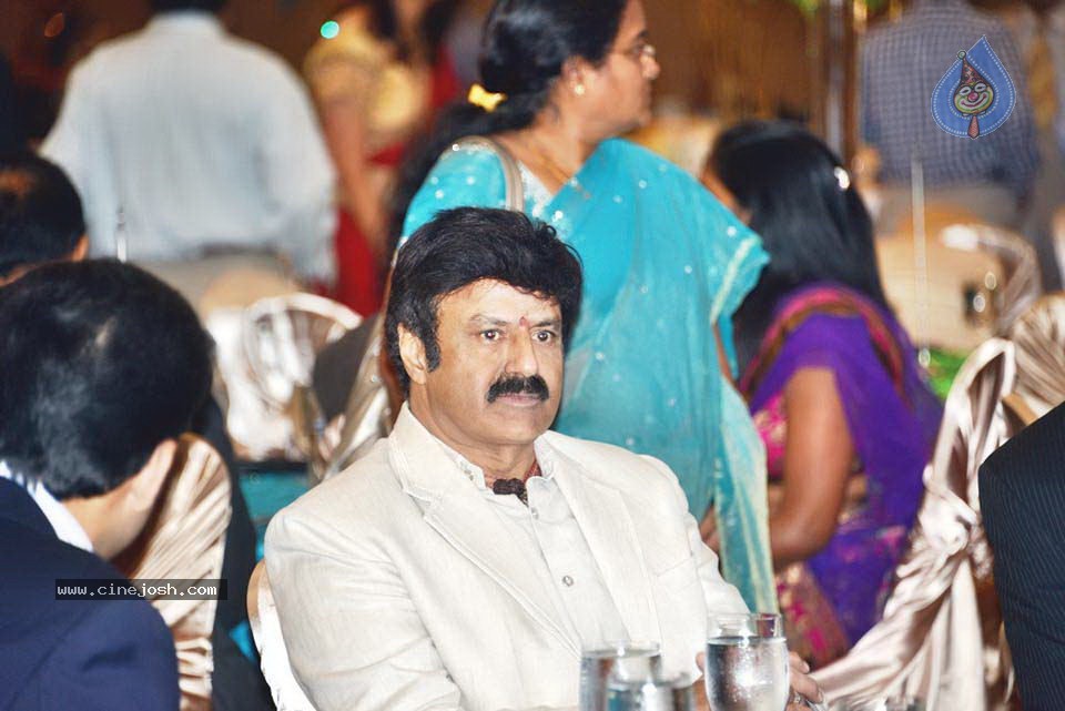 Celebs at NATS 2013 Telugu Sambaralu- Day 1 - 92 / 140 photos