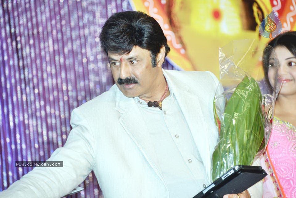 Celebs at NATS 2013 Telugu Sambaralu- Day 1 - 94 / 140 photos