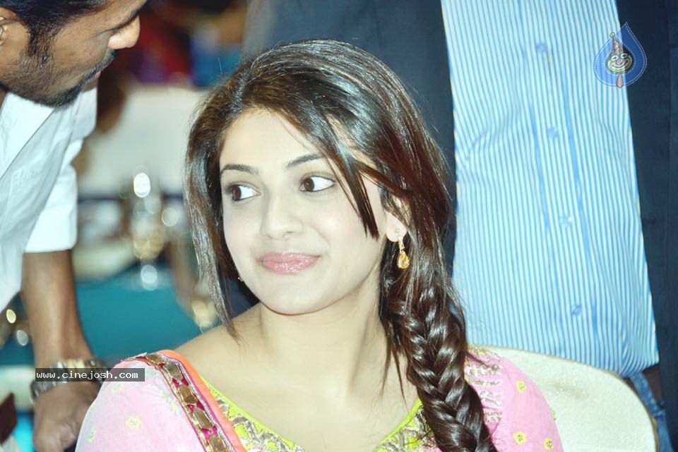 Celebs at NATS 2013 Telugu Sambaralu- Day 1 - 102 / 140 photos