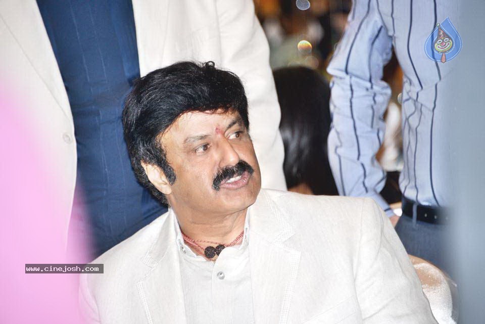 Celebs at NATS 2013 Telugu Sambaralu- Day 1 - 131 / 140 photos