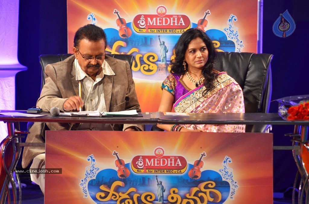 Celebs at NATS 2013 Telugu Sambaralu- Day 3 - 2 / 99 photos