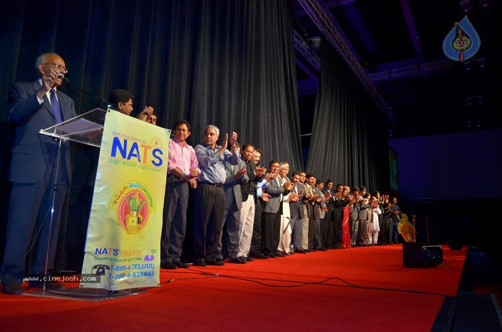 Celebs at NATS 2013 Telugu Sambaralu- Day 3 - 8 / 99 photos