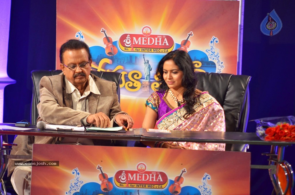 Celebs at NATS 2013 Telugu Sambaralu- Day 3 - 18 / 99 photos