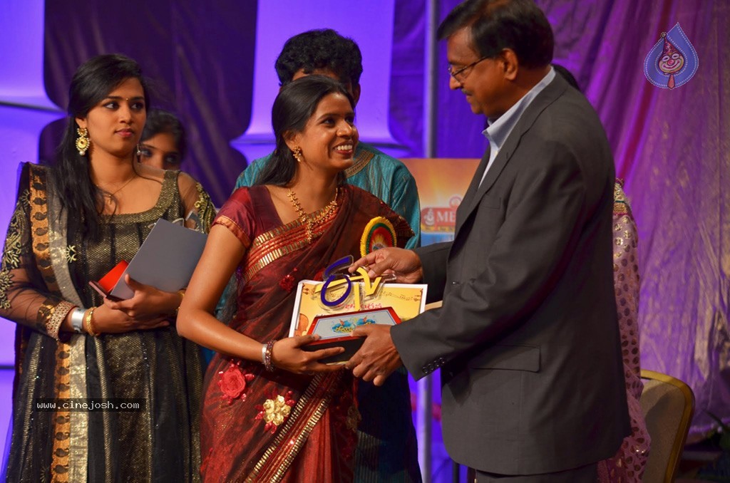 Celebs at NATS 2013 Telugu Sambaralu- Day 3 - 19 / 99 photos