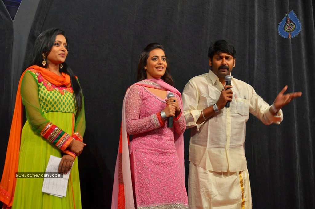 Celebs at NATS 2013 Telugu Sambaralu- Day 3 - 26 / 99 photos