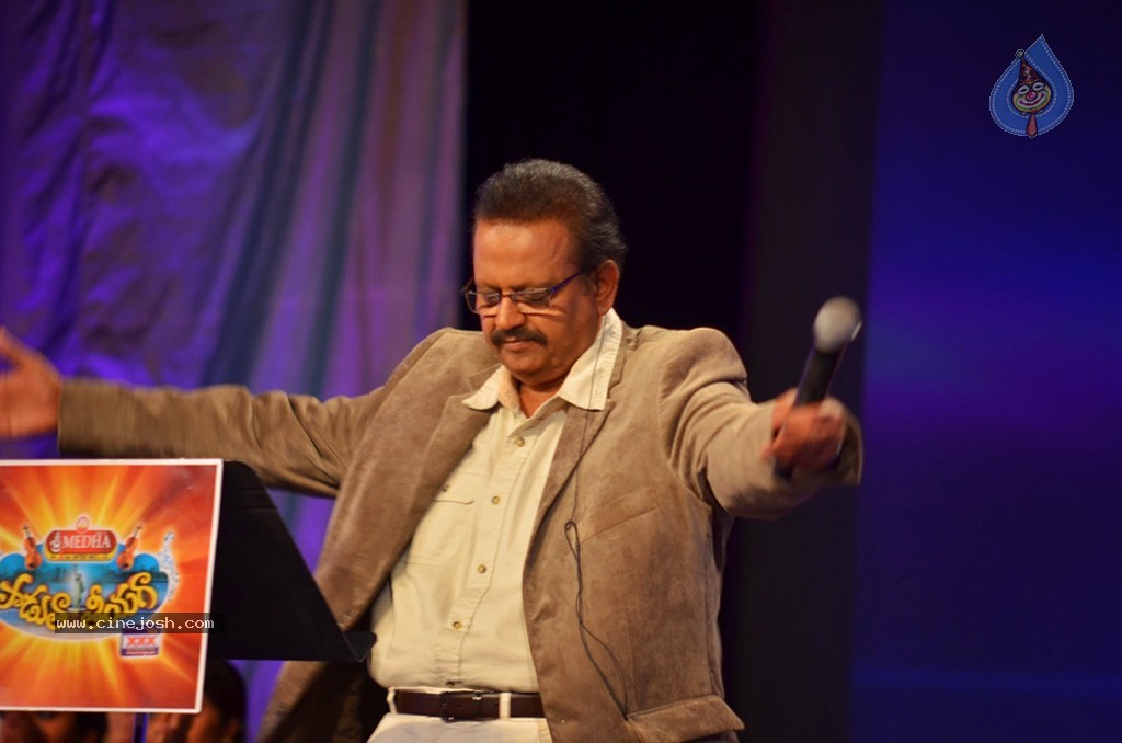 Celebs at NATS 2013 Telugu Sambaralu- Day 3 - 28 / 99 photos