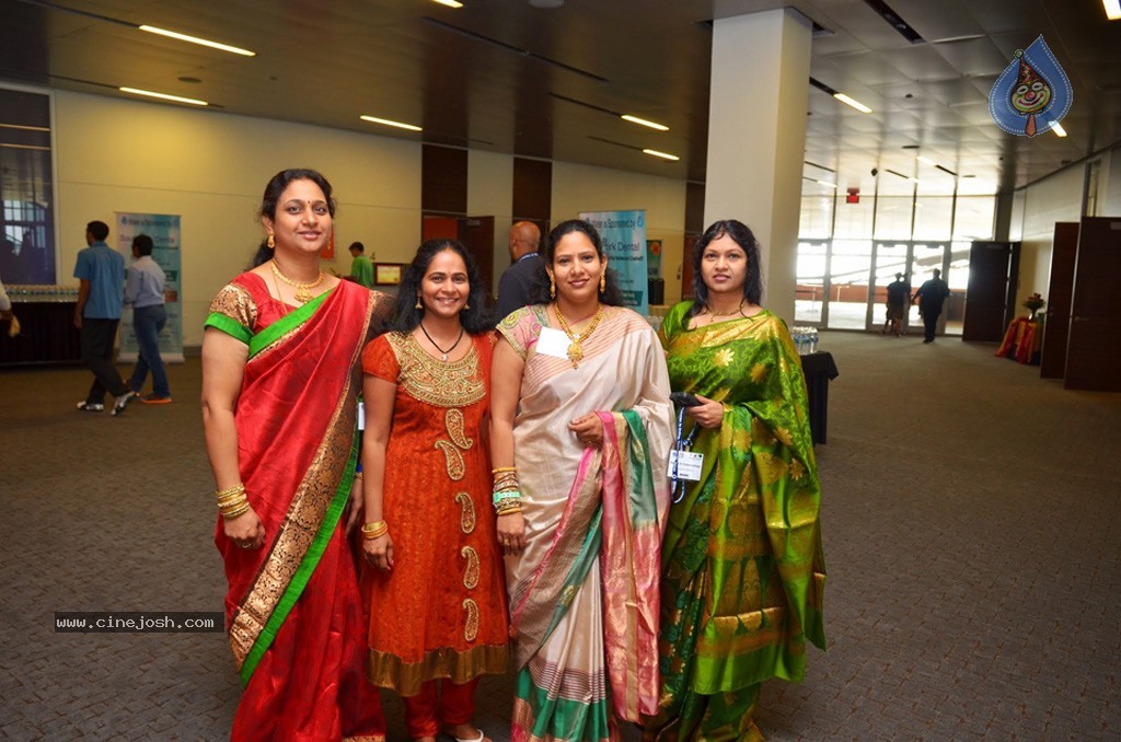 Celebs at NATS 2013 Telugu Sambaralu- Day 3 - 38 / 99 photos