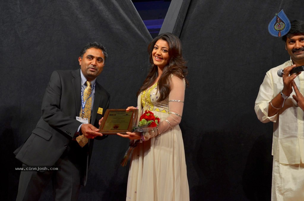 Celebs at NATS 2013 Telugu Sambaralu- Day 3 - 55 / 99 photos