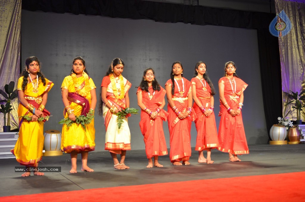 Celebs at NATS 2013 Telugu Sambaralu- Day 3 - 75 / 99 photos
