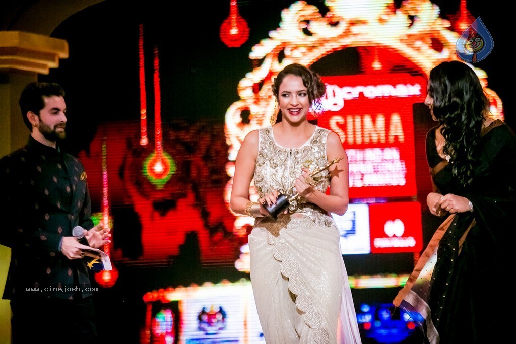 Celebs at SIIMA 2014 - 15 / 431 photos