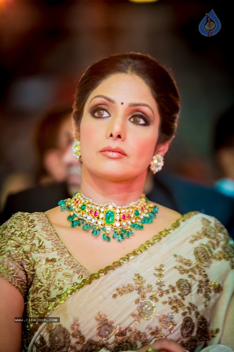Celebs at SIIMA 2014 - 32 / 431 photos