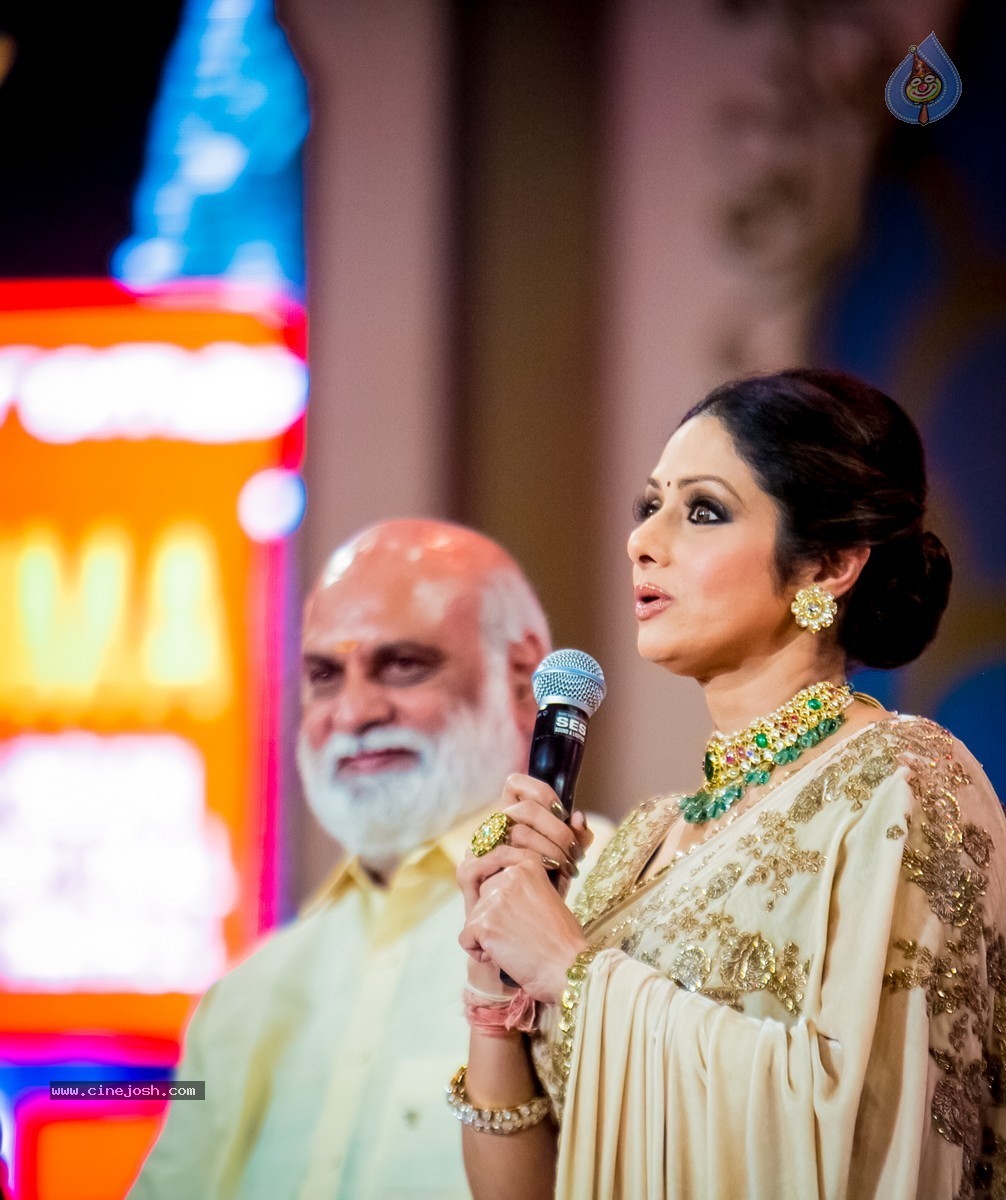 Celebs at SIIMA 2014 - 75 / 431 photos