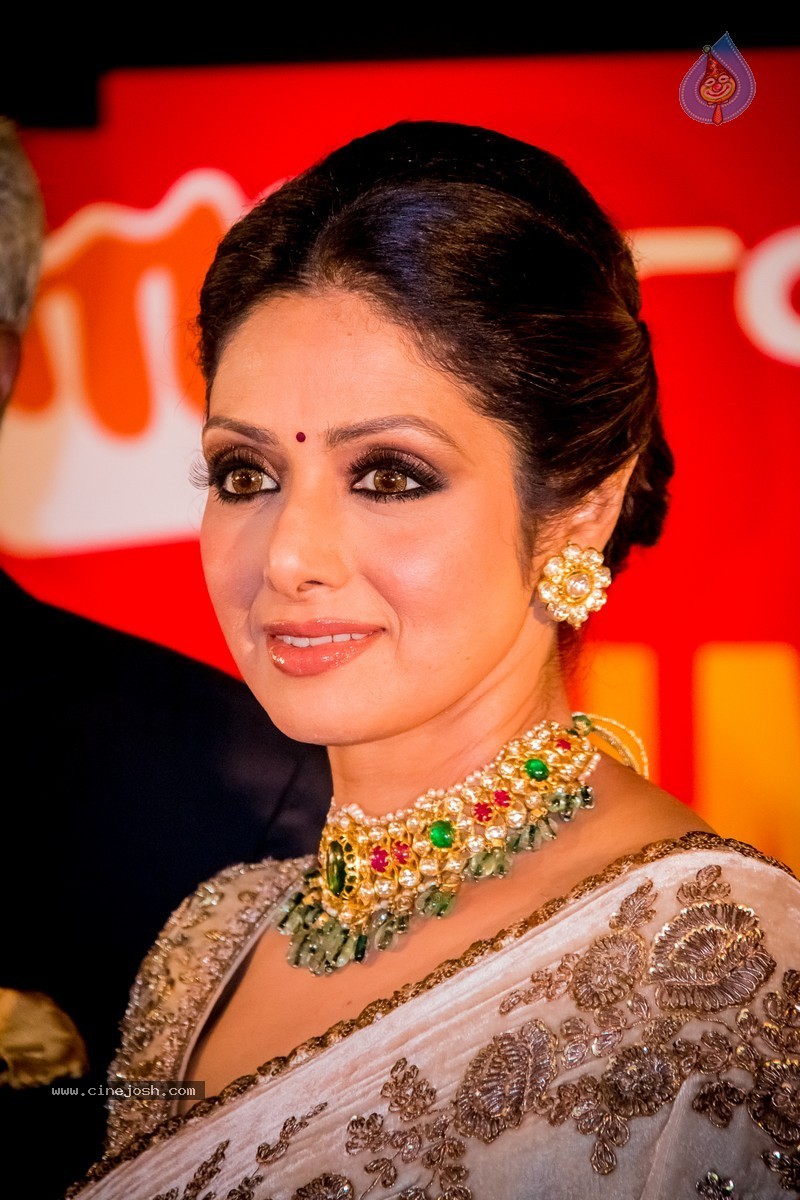 Celebs at SIIMA 2014 - 80 / 431 photos