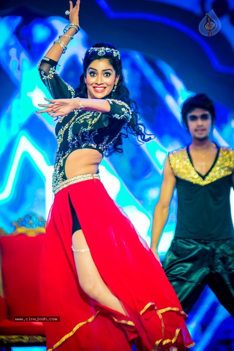 Celebs at SIIMA 2014 - 125 / 431 photos