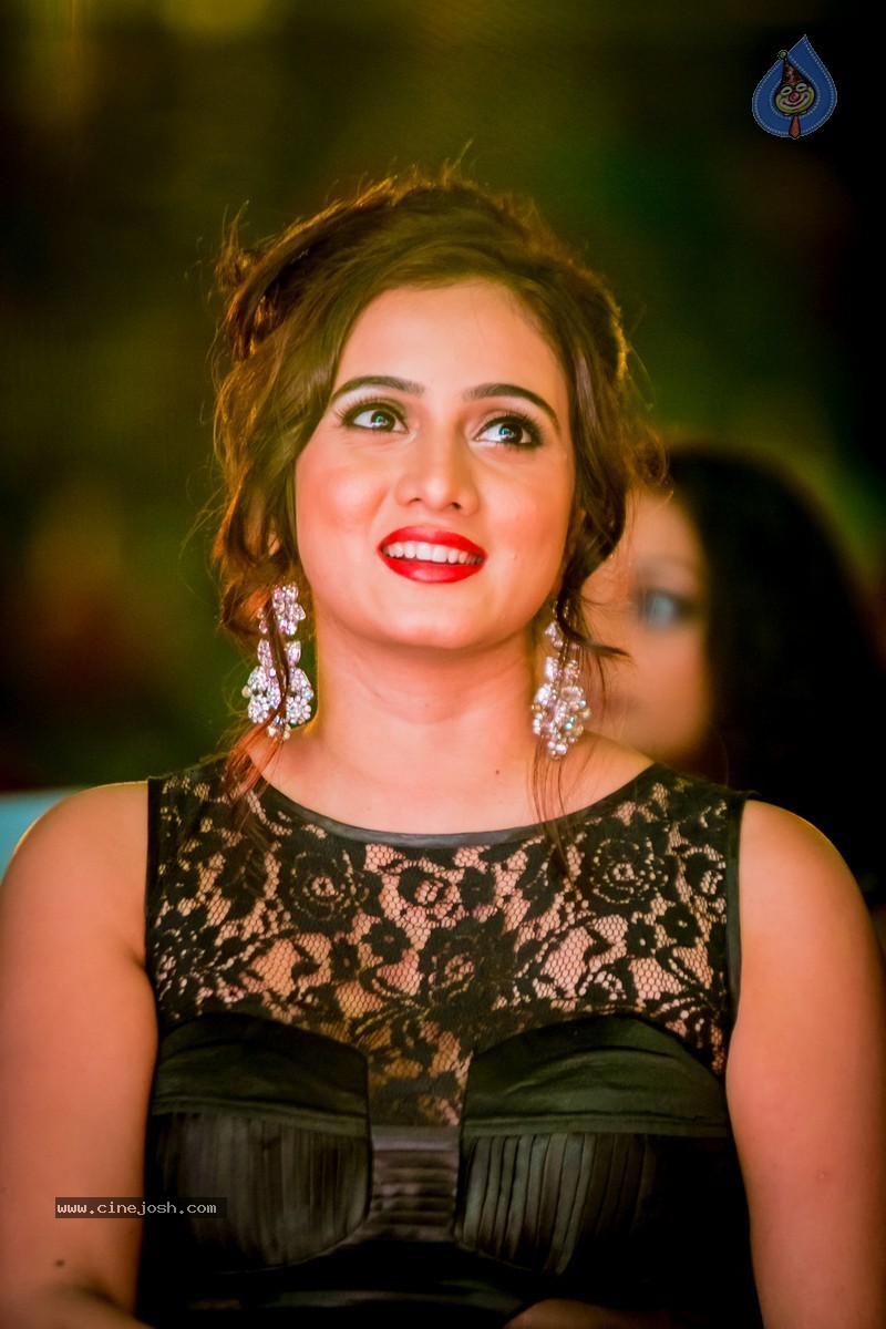 Celebs at SIIMA 2014 - 211 / 431 photos