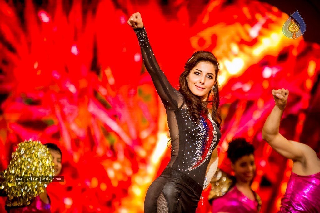 Celebs at SIIMA 2014 - 335 / 431 photos
