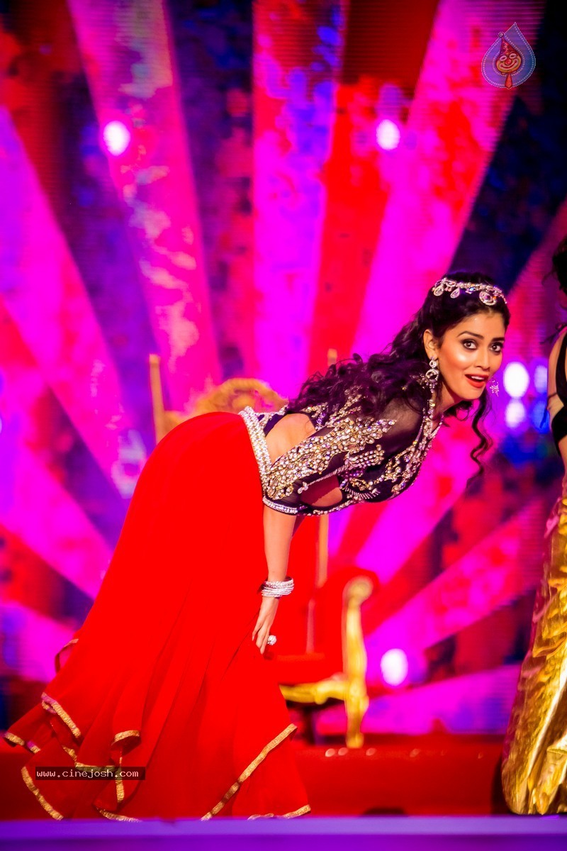 Celebs at SIIMA 2014 - 336 / 431 photos