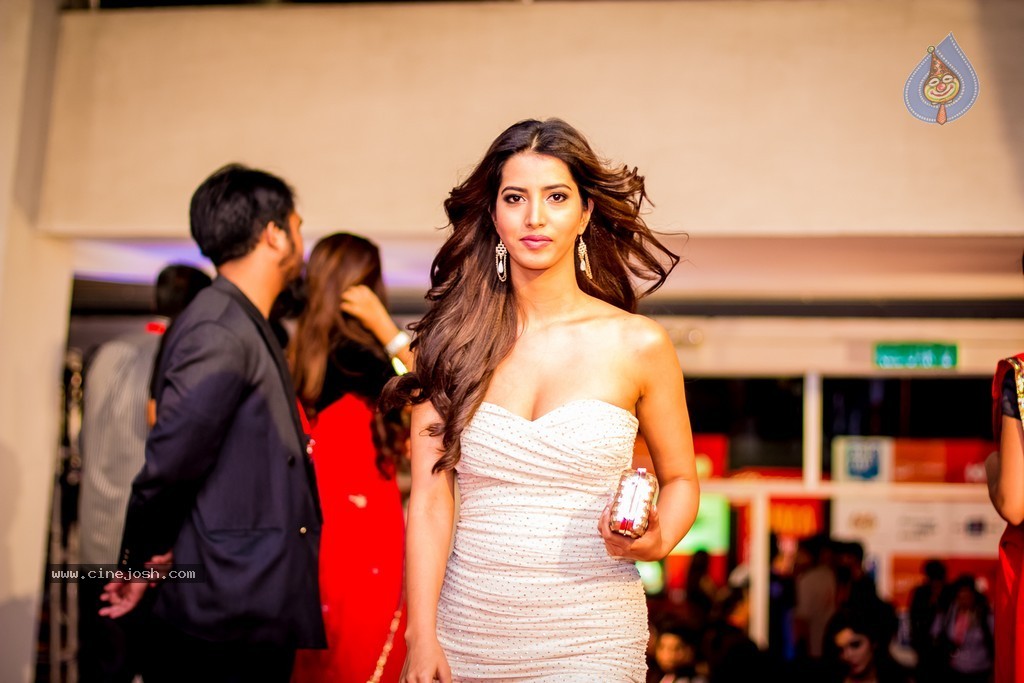 Celebs at SIIMA 2014 - 342 / 431 photos