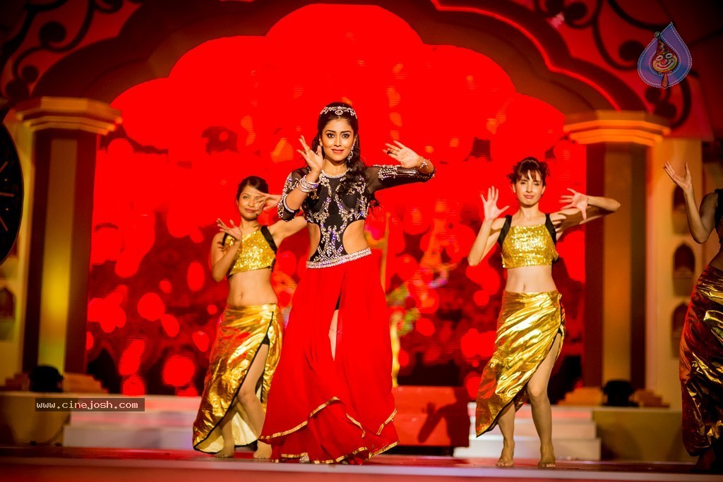 Celebs at SIIMA 2014 - 356 / 431 photos