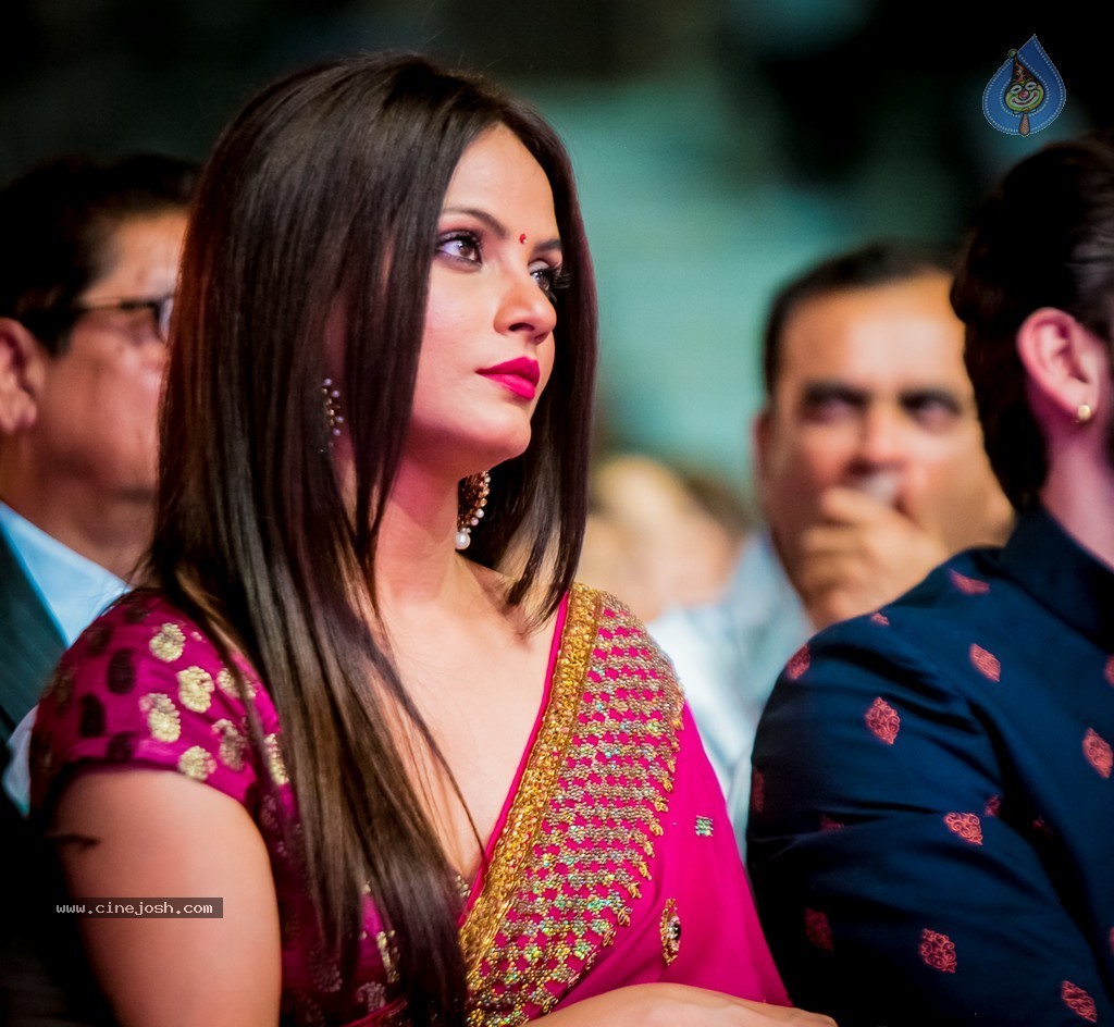 Celebs at SIIMA 2014 - 413 / 431 photos
