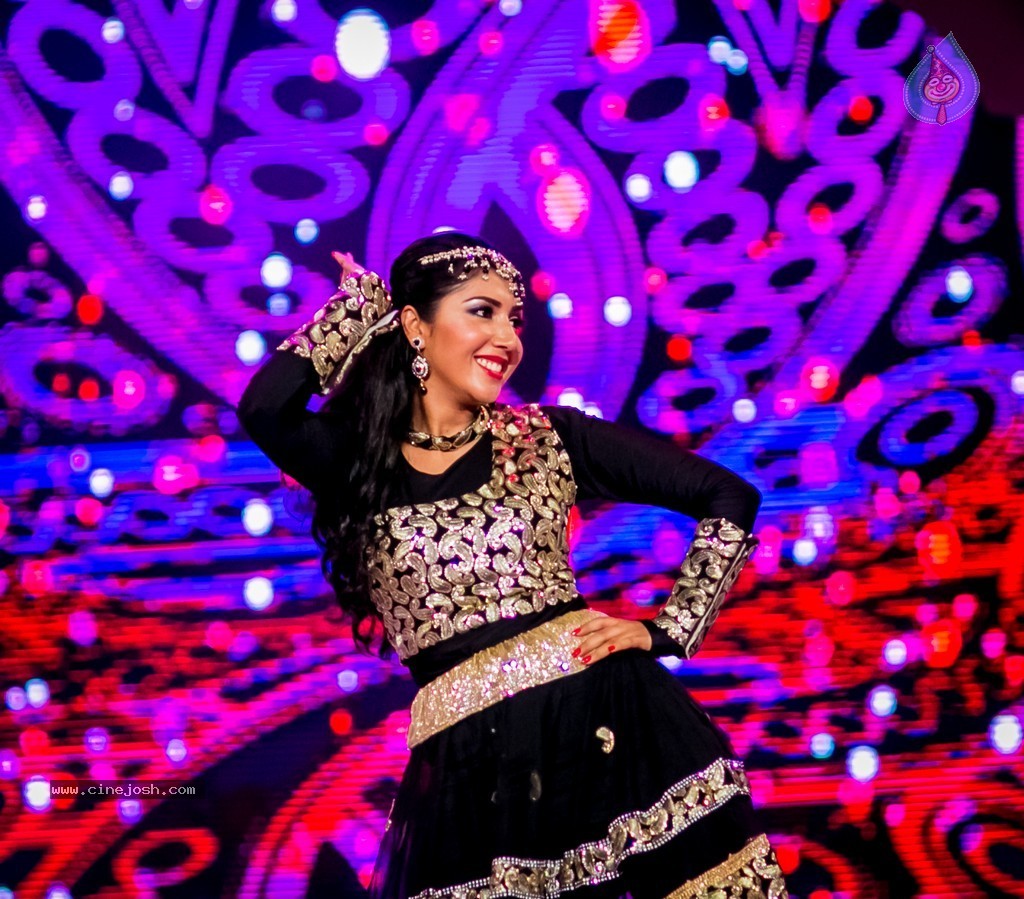 Celebs at SIIMA 2014 - 428 / 431 photos