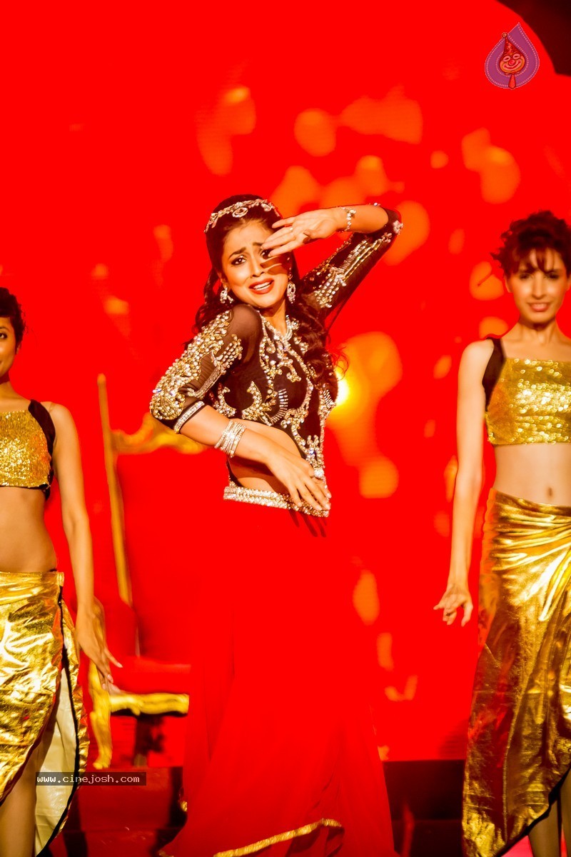 Celebs at SIIMA 2014 - 429 / 431 photos