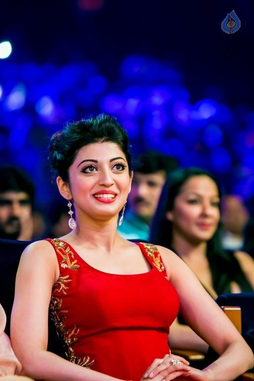 Celebrities at SIIMA Awards 2015 Day 1 - 41 / 327 photos