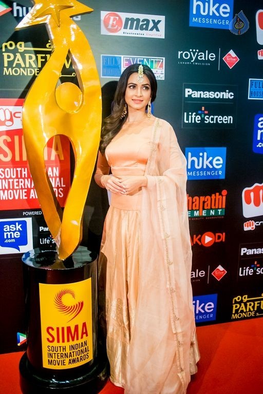 Celebrities at SIIMA Awards 2015 Day 1 - 195 / 327 photos