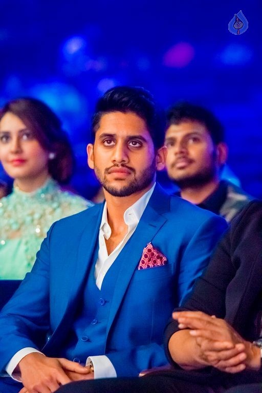 Celebrities at SIIMA Awards 2015 Day 1 - 205 / 327 photos