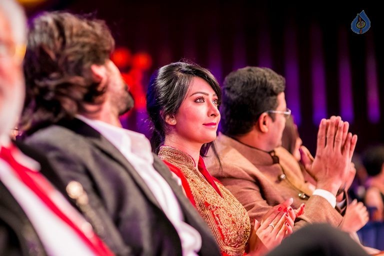 Celebrities at SIIMA Awards 2015 Day 1 - 237 / 327 photos