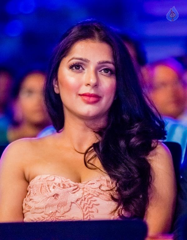 Celebrities at SIIMA Awards 2015 Day 1 - 239 / 327 photos