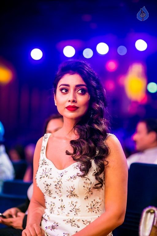 Celebrities at SIIMA Awards 2015 Day 1 - 250 / 327 photos