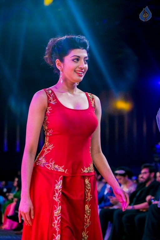 Celebrities at SIIMA Awards 2015 Day 1 - 256 / 327 photos