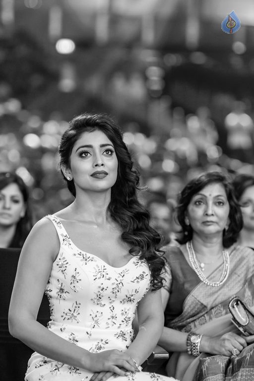 Celebrities at SIIMA Awards 2015 Day 1 - 284 / 327 photos