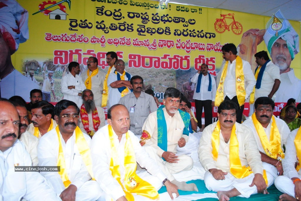 Chandrababu Indefinite Fast Photos - 10 / 83 photos