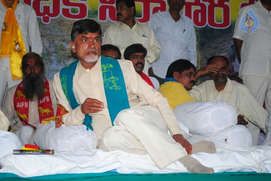 Chandrababu Indefinite Fast Photos - 16 / 83 photos