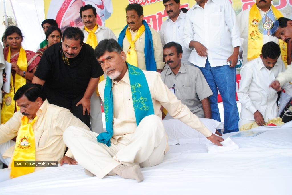 Chandrababu Indefinite Fast Photos - 17 / 83 photos