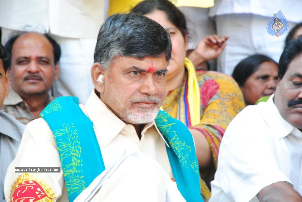 Chandrababu Indefinite Fast Photos - 20 / 83 photos