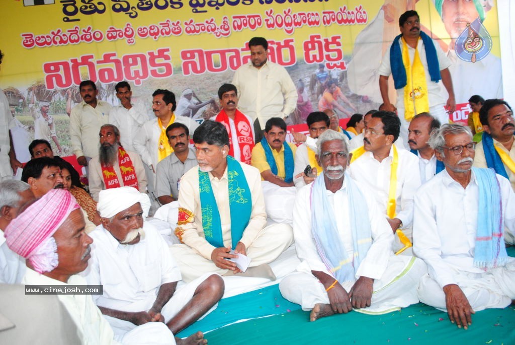 Chandrababu Indefinite Fast Photos - 26 / 83 photos