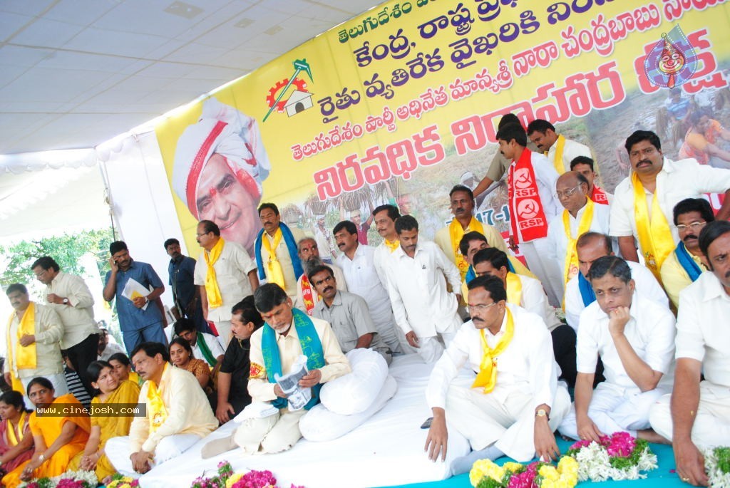 Chandrababu Indefinite Fast Photos - 30 / 83 photos