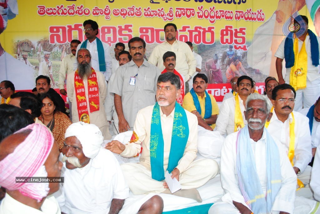 Chandrababu Indefinite Fast Photos - 37 / 83 photos