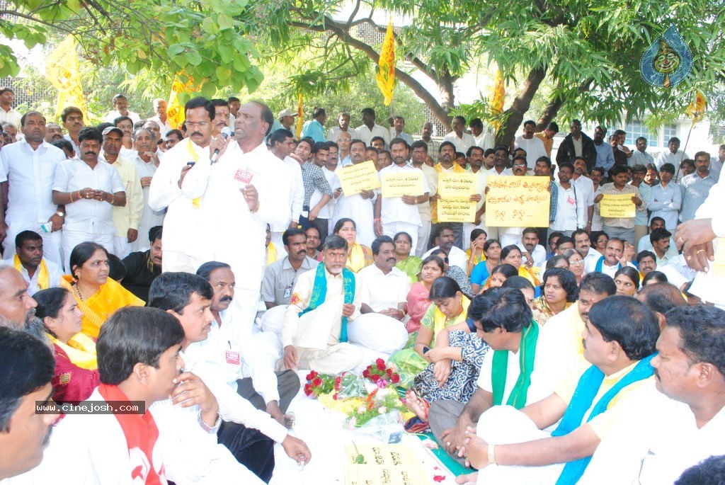 Chandrababu Indefinite Fast Photos - 79 / 83 photos