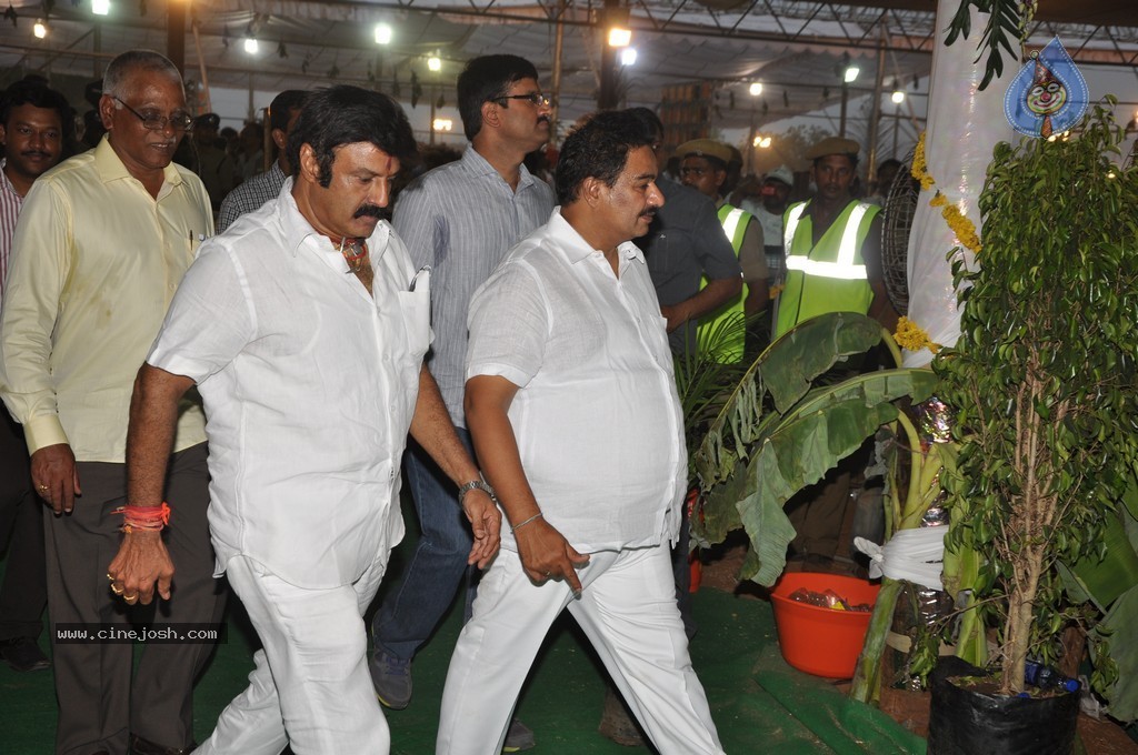 Chandrababu Naidu Sworn in as Andhra Pradesh CM - 39 / 150 photos