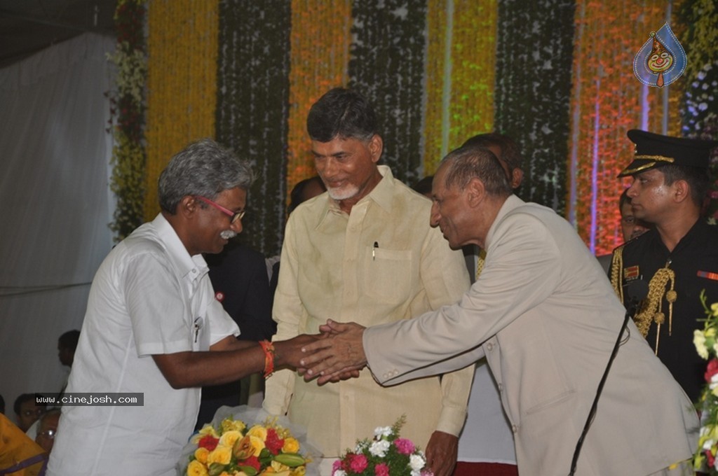 Chandrababu Naidu Sworn in as Andhra Pradesh CM - 47 / 150 photos