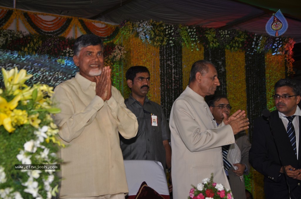Chandrababu Naidu Sworn in as Andhra Pradesh CM - 57 / 150 photos